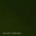 dreaming of velvets | thesign