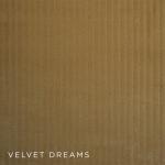 velvet dreams | thesign